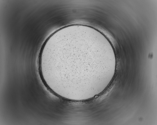 X0000102350999200808291156