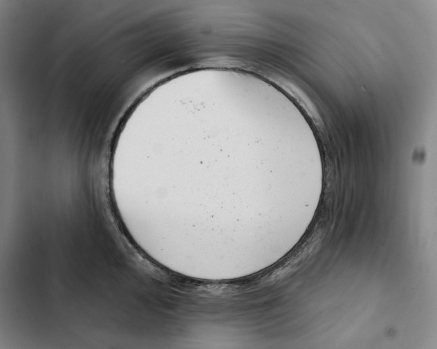 X0000102351000200808291156