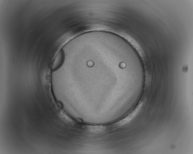 X0000102351001200808291156