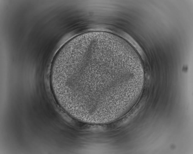 X0000102351002200808291156