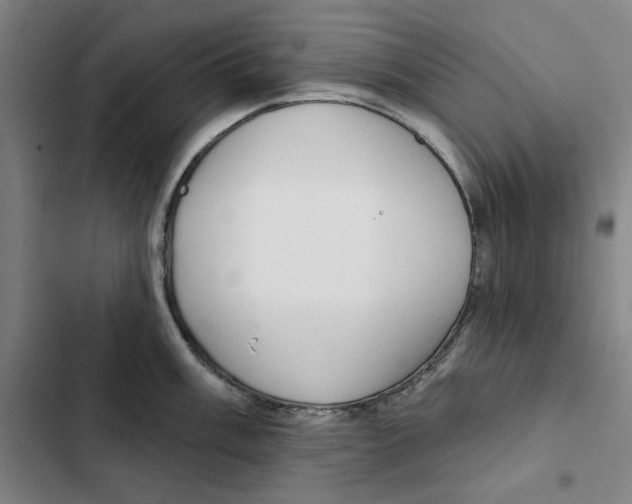 X0000102351003200808291156