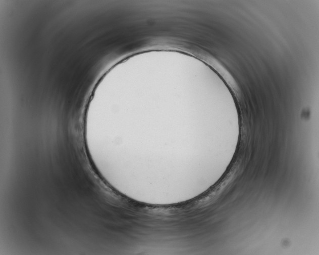 X0000102351004200808291156