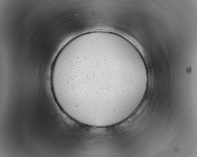 X0000102351006200808291156