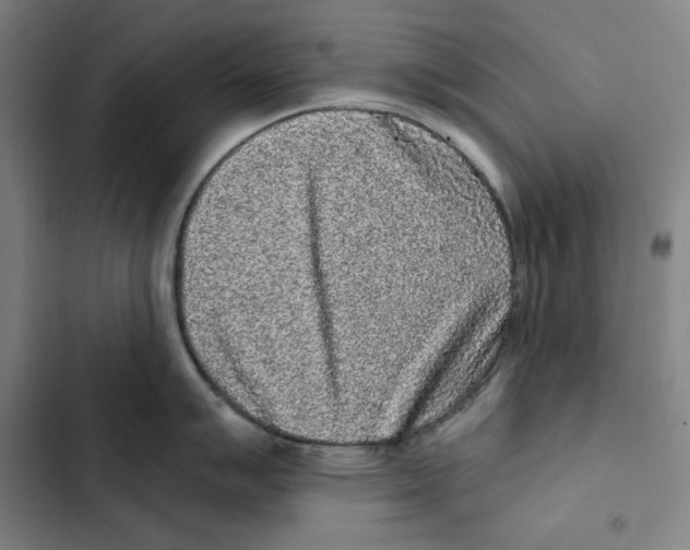 X0000102351007200808291156