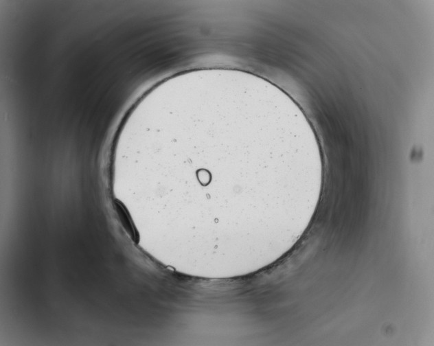X0000102351008200808291156
