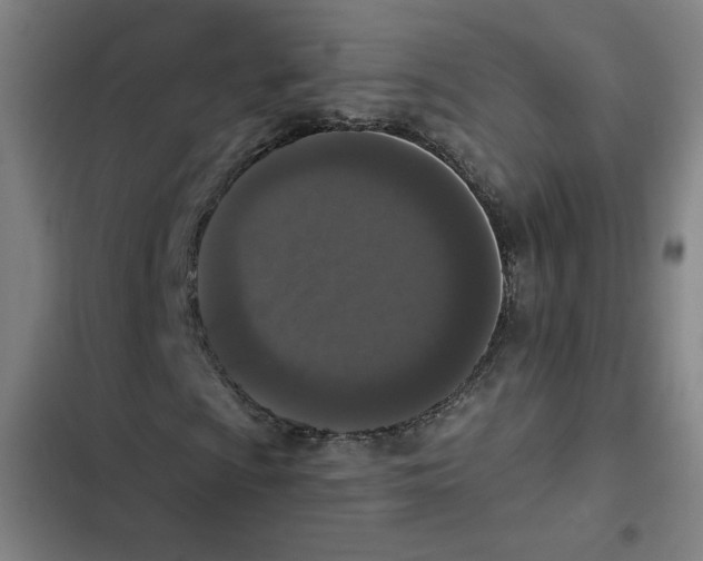 X0000102351009200808291155