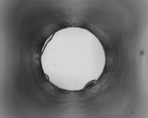 X0000102351010200808291155