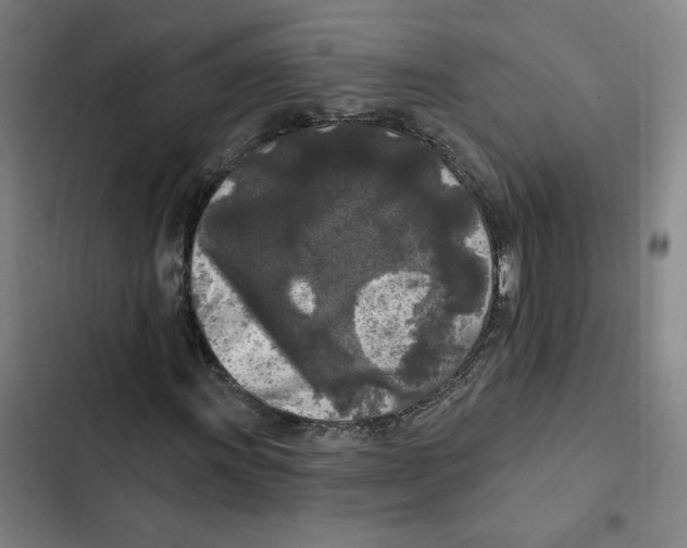 X0000102351011200808291155