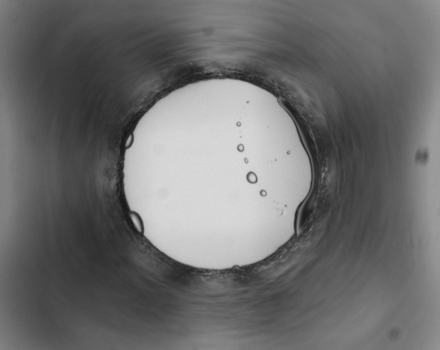 X0000102351012200808291155