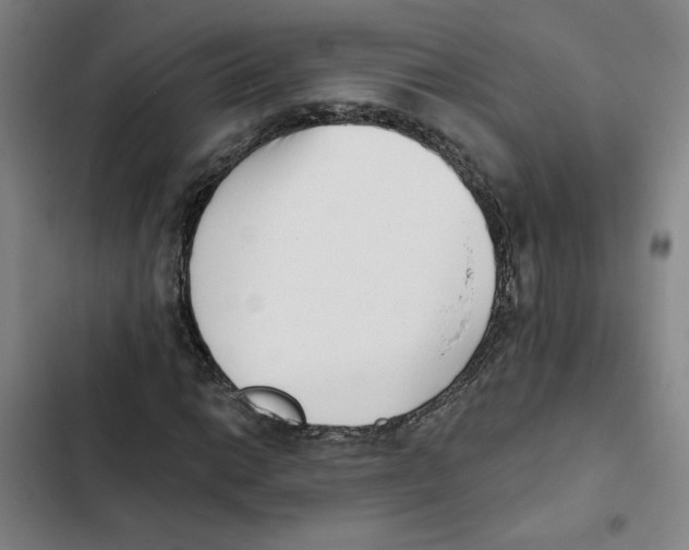 X0000102351014200808291155