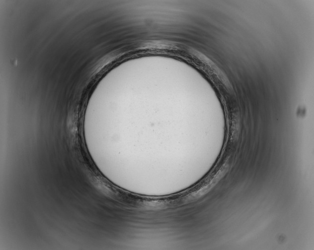 X0000102351017200808291156