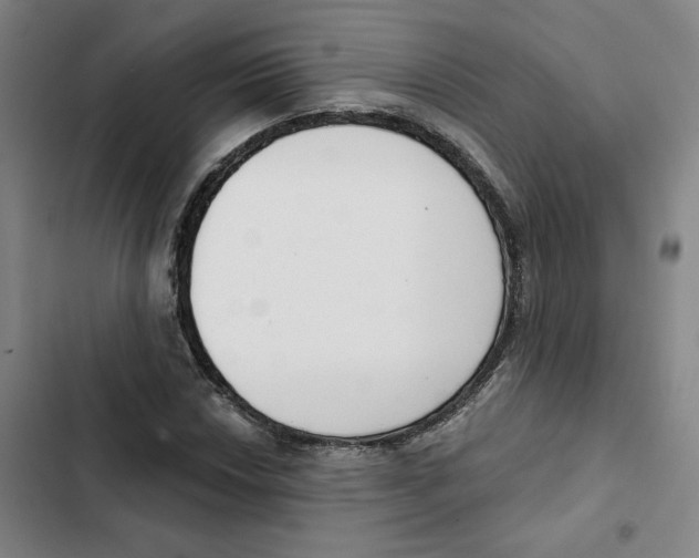 X0000102351018200808291156