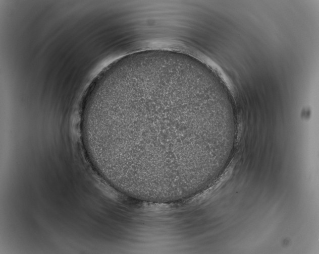 X0000102351019200808291156