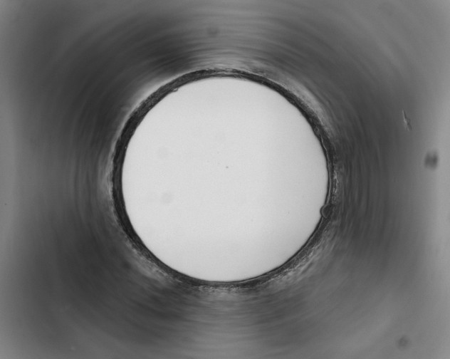 X0000102351020200808291156