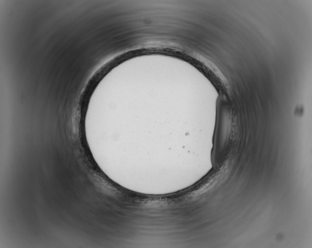 X0000102351021200808291156
