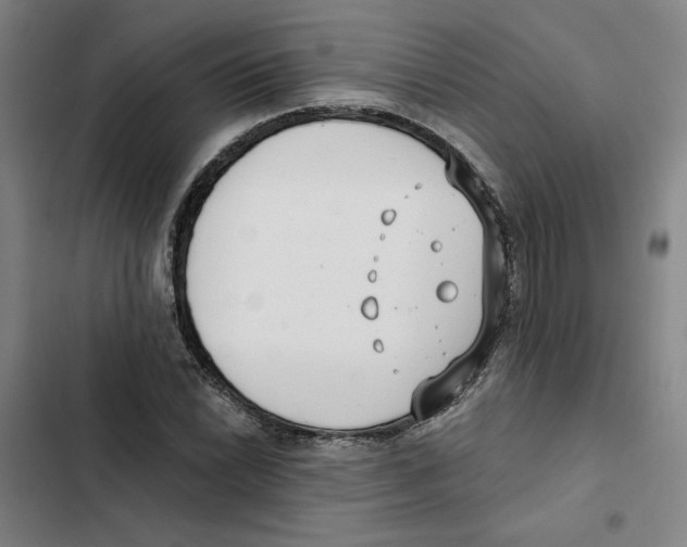 X0000102351022200808291156