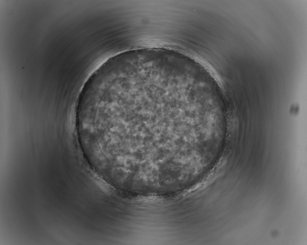 X0000102351023200808291156