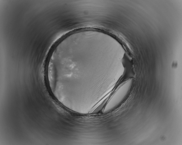 X0000102351024200808291156