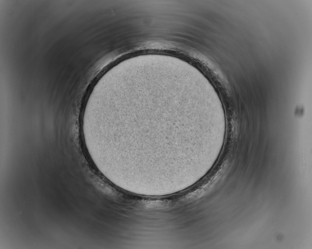 X0000102351025200808291156