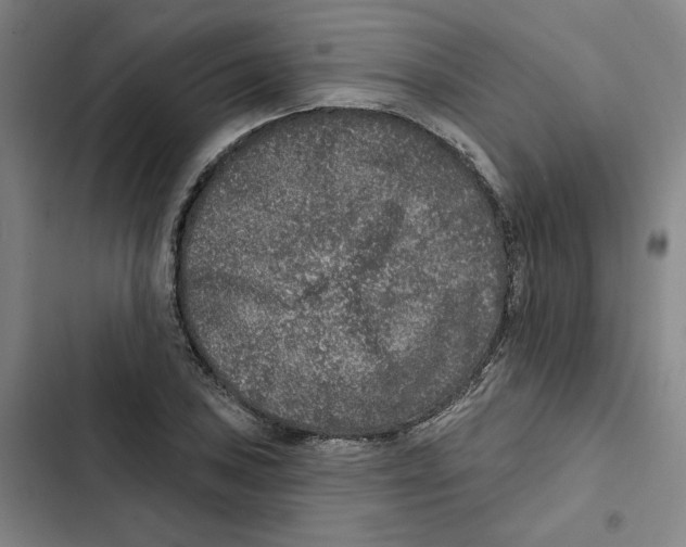 X0000102351027200808291156