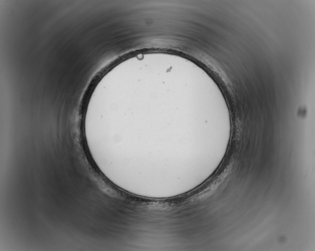 X0000102351029200808291156
