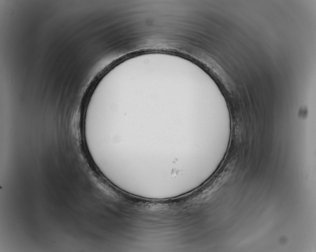 X0000102351030200808291156
