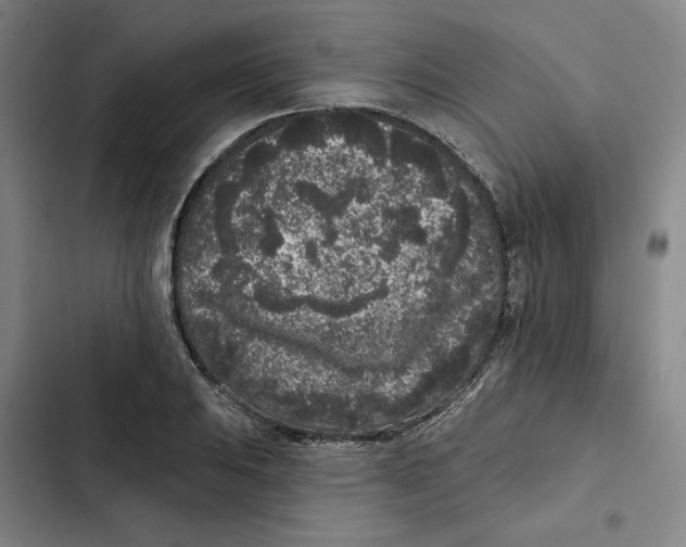 X0000102351031200808291156