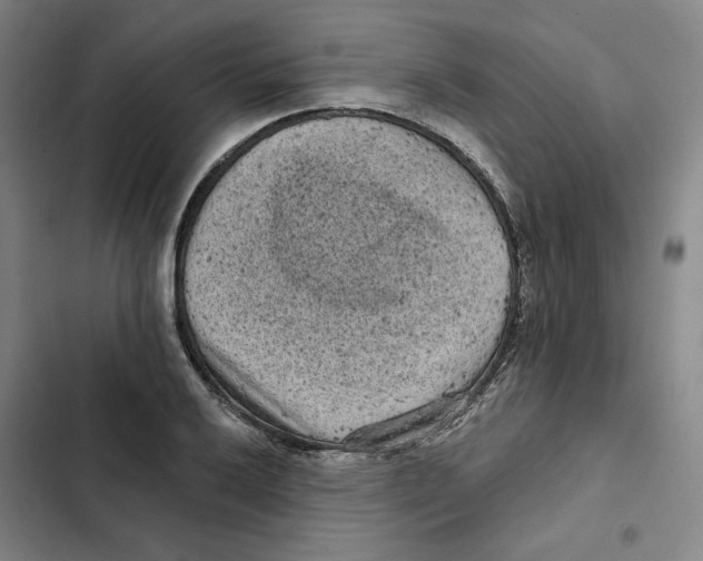 X0000102351032200808291156
