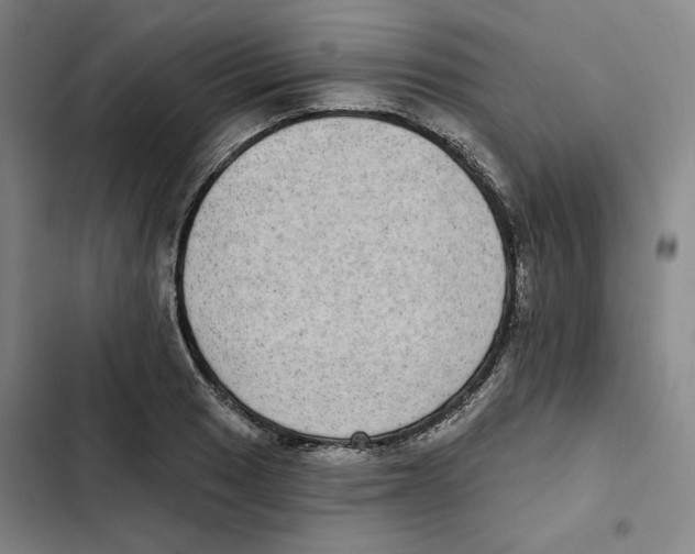 X0000102351033200808291156