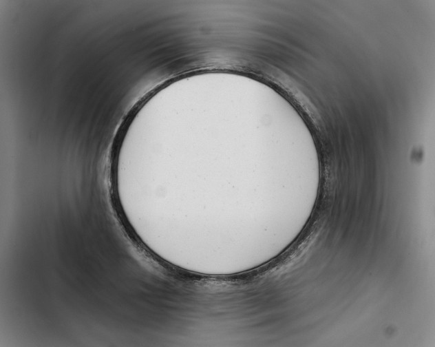 X0000102351034200808291156