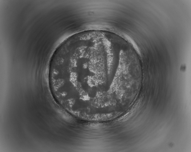 X0000102351035200808291156