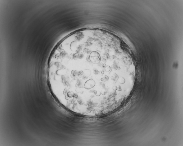 X0000102351036200808291156