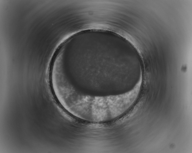 X0000102351037200808291156