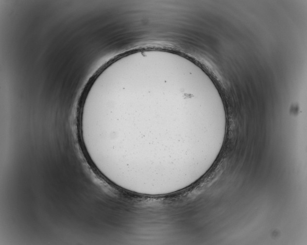 X0000102351038200808291156