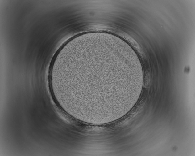 X0000102351039200808291156
