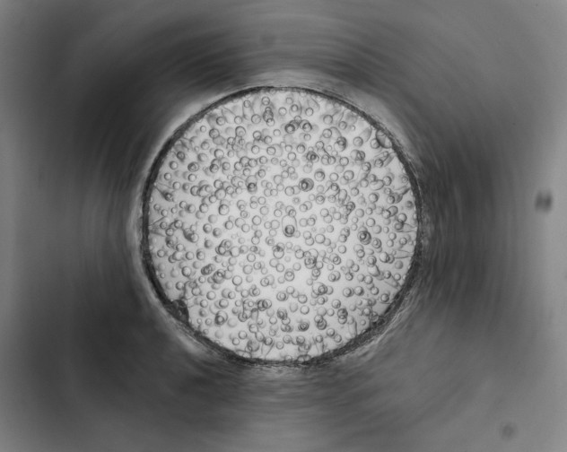 X0000102351040200808291156