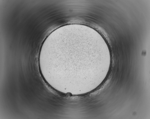 X0000102351041200808291156