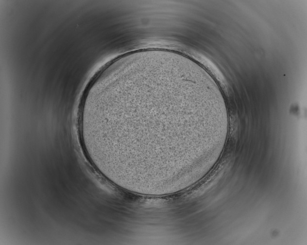 X0000102351043200808291156