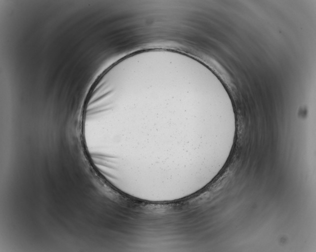 X0000102351044200808291156
