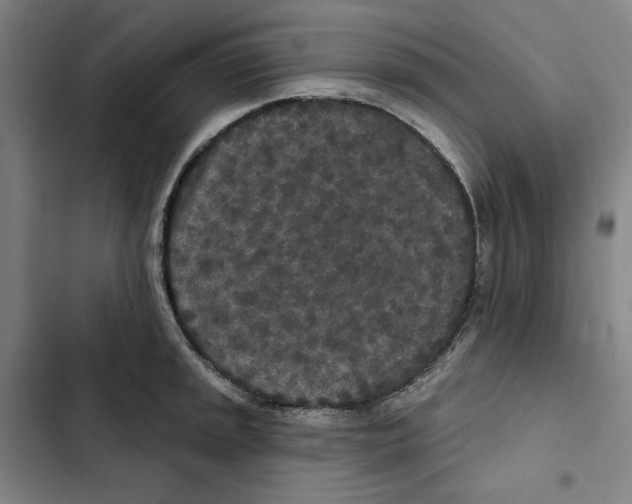 X0000102351045200808291156