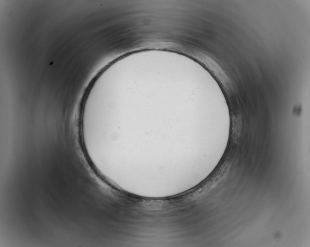 X0000102351046200808291156