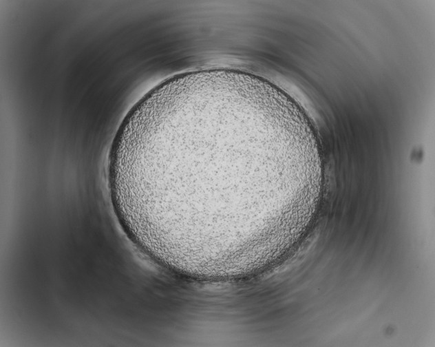 X0000102351047200808291156