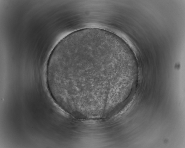 X0000102351048200808291156