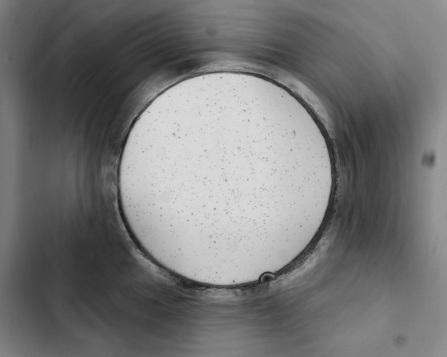 X0000102351049200808291156