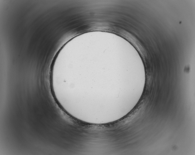 X0000102351050200808291156