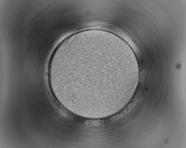 X0000102351051200808291156