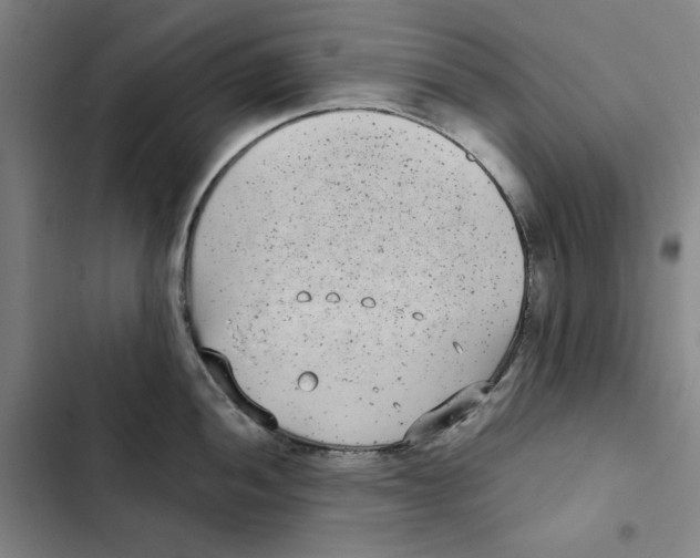 X0000102351052200808291156