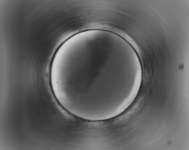 X0000102351053200808291156