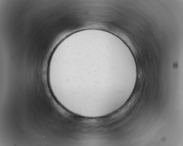 X0000102351054200808291156