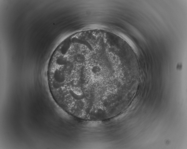 X0000102351055200808291156
